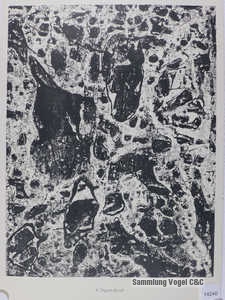 1020667
