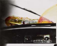 Polke Z 0287265