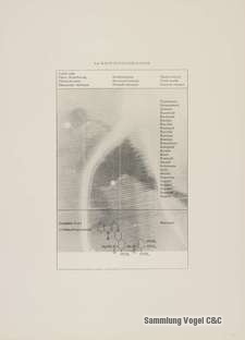 Polke Z 0287736
