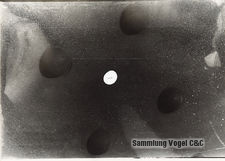 Polke Z 0303246-32