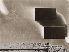 Polke Z 0303271-32